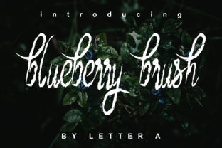 Blueberry Brush: A Versatile Script Font for Modern Web Design