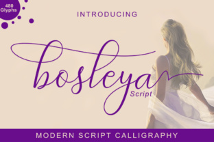 Bosleya: A Script Font That Elevates Web Design
