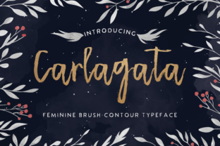 Carlagata: A Script Font That Elevates Web Design