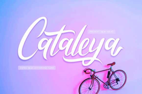 Cataleya: The Script Font That Elevates Your Digital Campaigns