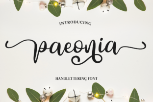 Paeonia: A Script Font with Elegant Purpose